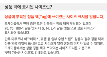 ���� ������ �������? ��ǰ�� ������ ��ǰ ��(Tag)�� �����ִ� ������ ǥ�ø� ���մϴ�.